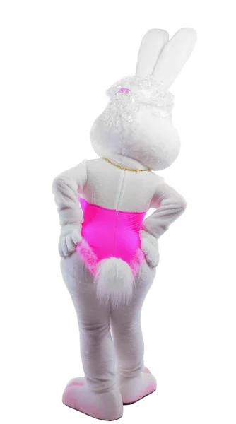 Bellezza Coniglietta Ragazza Costume Della Mascotte Prendere Fianco Isolato — Foto Stock