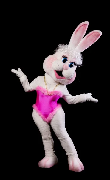 Bunny Menina Mascote Traje Dança Preto — Fotografia de Stock