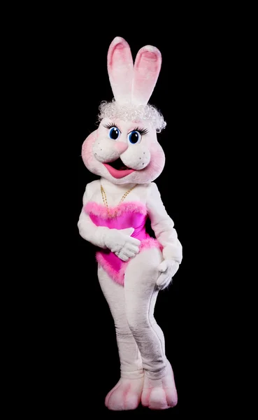 Bunny Menina Mascote Traje Confuso Preto — Fotografia de Stock