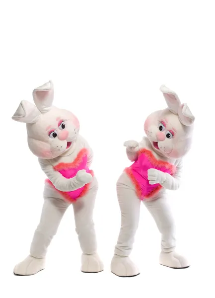 Twee bunny meisje mascotte kostuum — Stockfoto