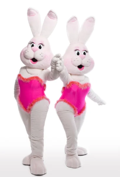 Due Coniglietto Ragazza Mascotte Costume Posa Bianco — Foto Stock