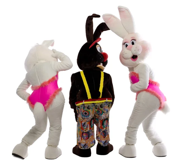 stock image Three cherful mascot bunny costume