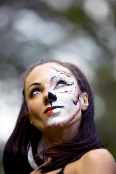 Young Woman Tigress Face Art Look — Stock Photo, Image