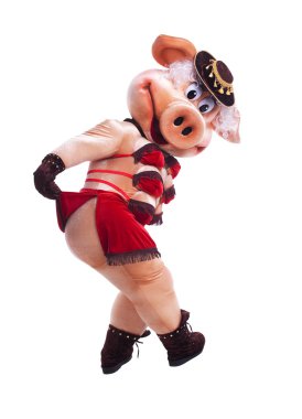 Pig mascot costume dance striptease in hat