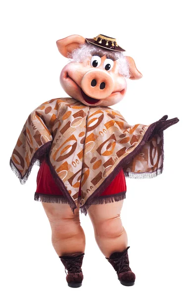 Pig mascote dança traje em poncho — Fotografia de Stock