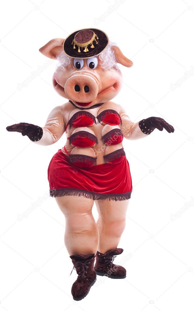 Swine mascot costume dance striptease in hat isolated