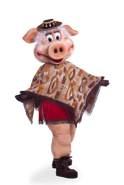 Pig mascote dança traje em poncho — Fotografia de Stock
