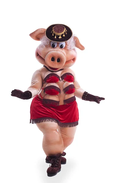 stock image Pig mascot costume dance striptease in hat