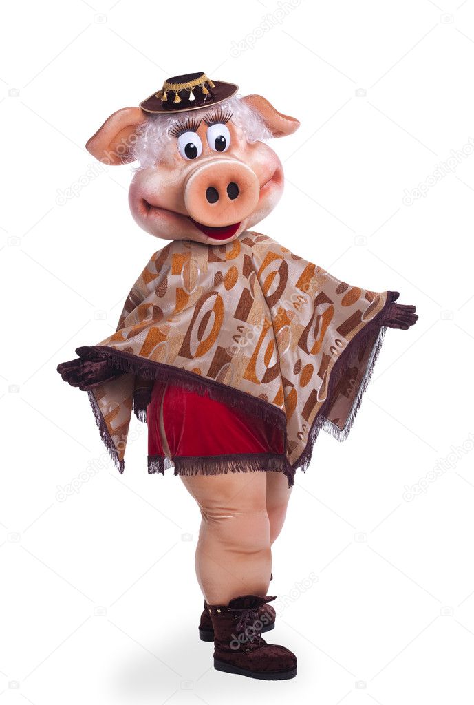 Pig mascot costume dance in poncho