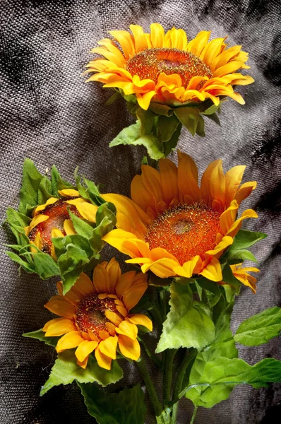 Bright Still Life Sunflowers — Stock Photo, Image