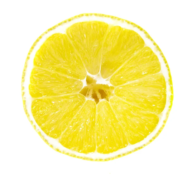 Sitruuna Valkoisella Pohjalla — kuvapankkivalokuva