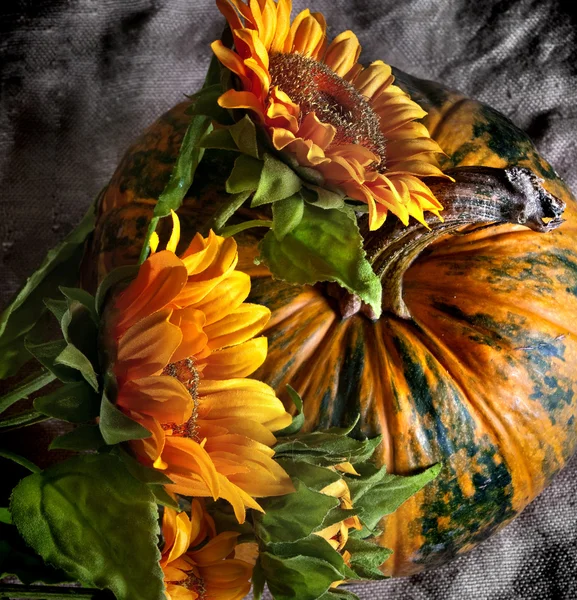 Bright Still Life Pumpkin Sunflowers — Stock Photo, Image