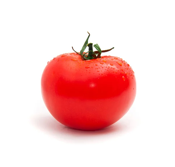 Один помидор — стоковое фото