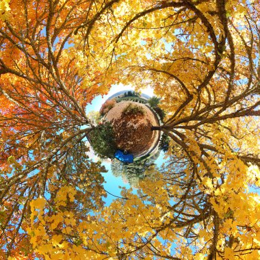 Two orange trees in a 360 stereographic projected panoramic image looks like a big planet clipart