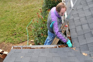 Man cleaning gutters on ladder clipart