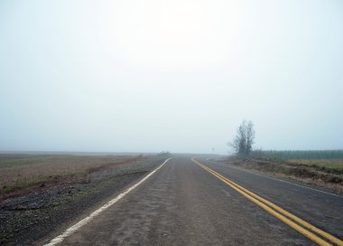 An untouched road in rural country land on a white gray foggy day in winter. clipart