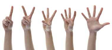 One Two Three Four Five Counting Finger Hands clipart