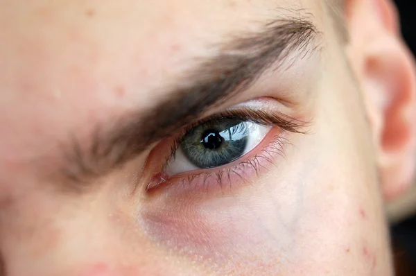 Zamknij Się Niebieskie Oczy Zielone — Zdjęcie stockowe