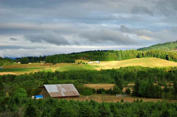 Land landschap — Stockfoto
