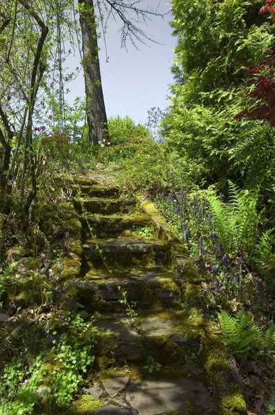 庭の石の階段 — ストック写真