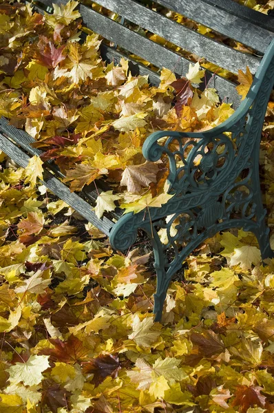Bench covered in leafs — Stock Photo, Image