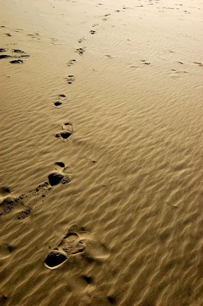 Orme Stampate Nella Sabbia Della Spiaggia — Foto Stock