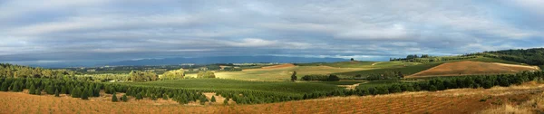 Panoramatické Strom Farma — Stock fotografie