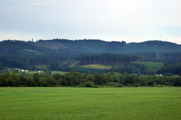 Landschaft Mit Feld Bäumen Bergen Und Bewölktem Himmel — Stockfoto
