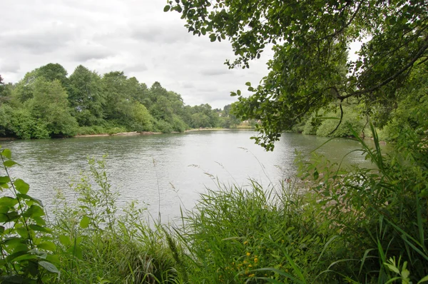River with grass and trees under an overcast sky — Stock Photo, Image