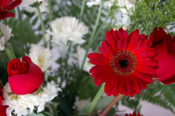 红色和白色的花朵抽象背景 — 图库照片