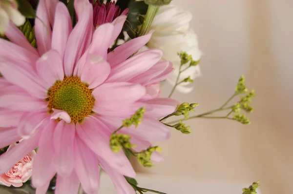 Pink flower close up ontop of cloth — Zdjęcie stockowe