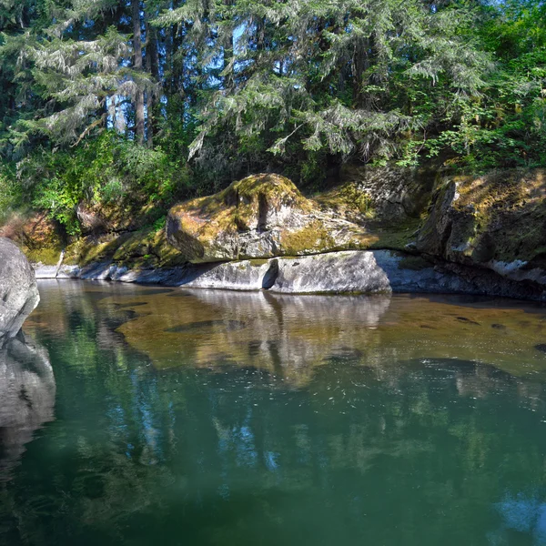 Скалистая Река Водами Настолько Спокойными Почти Озеро Снято Орегоне Hdr — стоковое фото