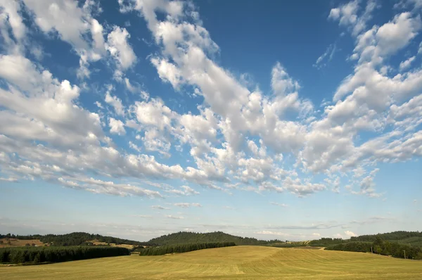 Een Gesneden Tarweveld Met Een Kleine Knoll Heuvel Wolken Boven — Stockfoto