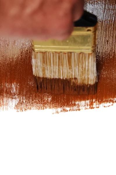 Escova de pintura molhada marrom — Fotografia de Stock