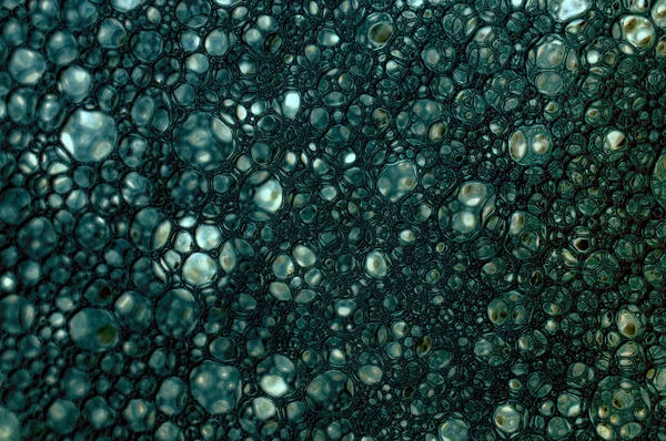Closeup Macro Texture Cells Cancerous Originally Shot Bubbles — Stock Photo, Image