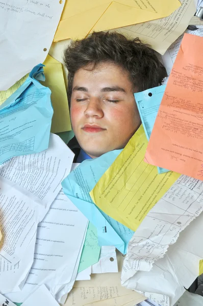Too Much Homework Assignments — Stock Photo, Image
