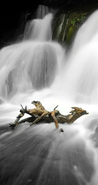 Cascada con Madera — Foto de Stock