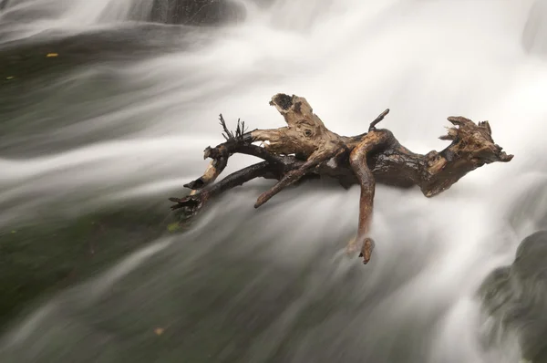 木の棒と滝の枝からの長時間露光 — ストック写真