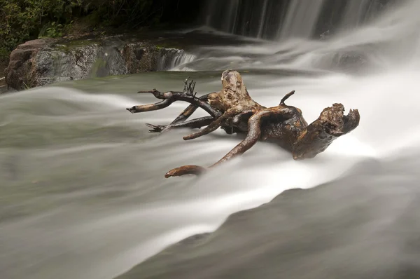 木の棒と滝の枝からの長時間露光 — ストック写真