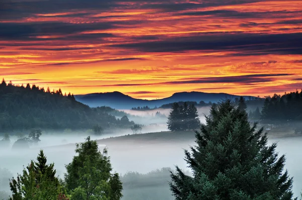 Morning Sunrise with Foggy Mist and Mountains — Stock Photo, Image