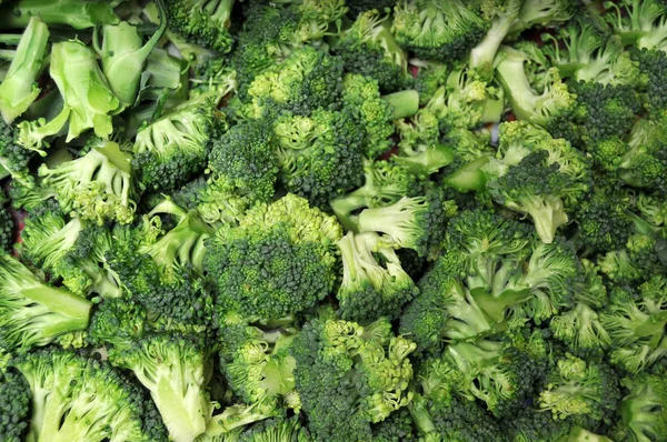 Knippen van broccoli — Stockfoto