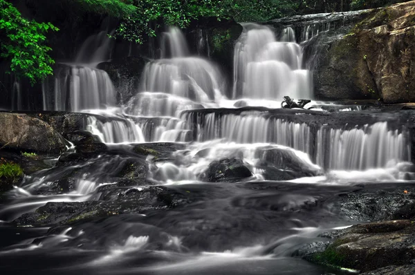 Водопад с лесом — стоковое фото