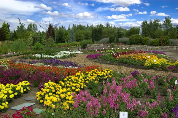 Czysty Dobrze Utrzymany Ogród — Zdjęcie stockowe
