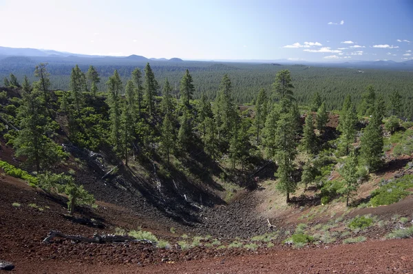 Uma Cratera Que Atingiu Leito Lava Árvores Estão Crescendo Aqui — Fotografia de Stock