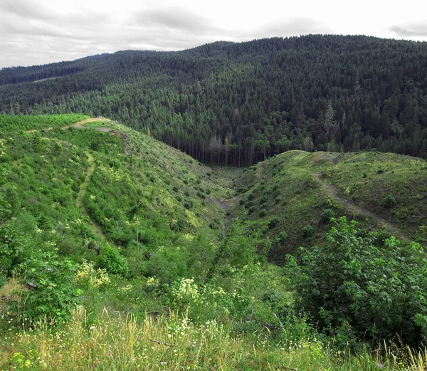 Panorama doliny — Zdjęcie stockowe