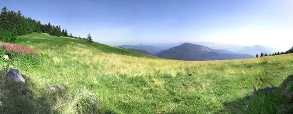 Grönt fält med berg — Stockfoto