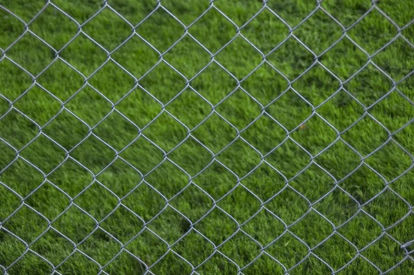 Ogrodzenia ogniwa łańcucha z trawa tło — Zdjęcie stockowe