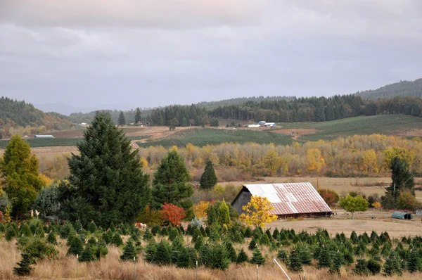 Rustic rural landscape — Stock Photo, Image