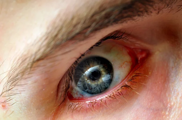 stock image Intense closeup of white Caucasian's blue green yellow eyeball iris with blood vessels and viens.