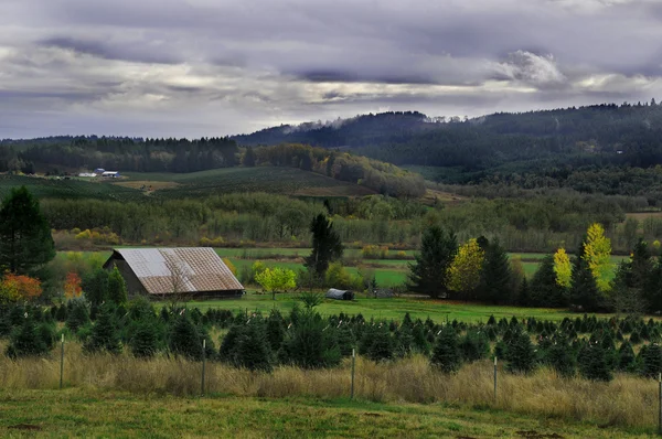 Paisaje rural hermoso país con granero — Foto de Stock